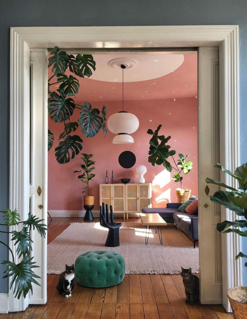 Modern eclectic pink living room with live plants